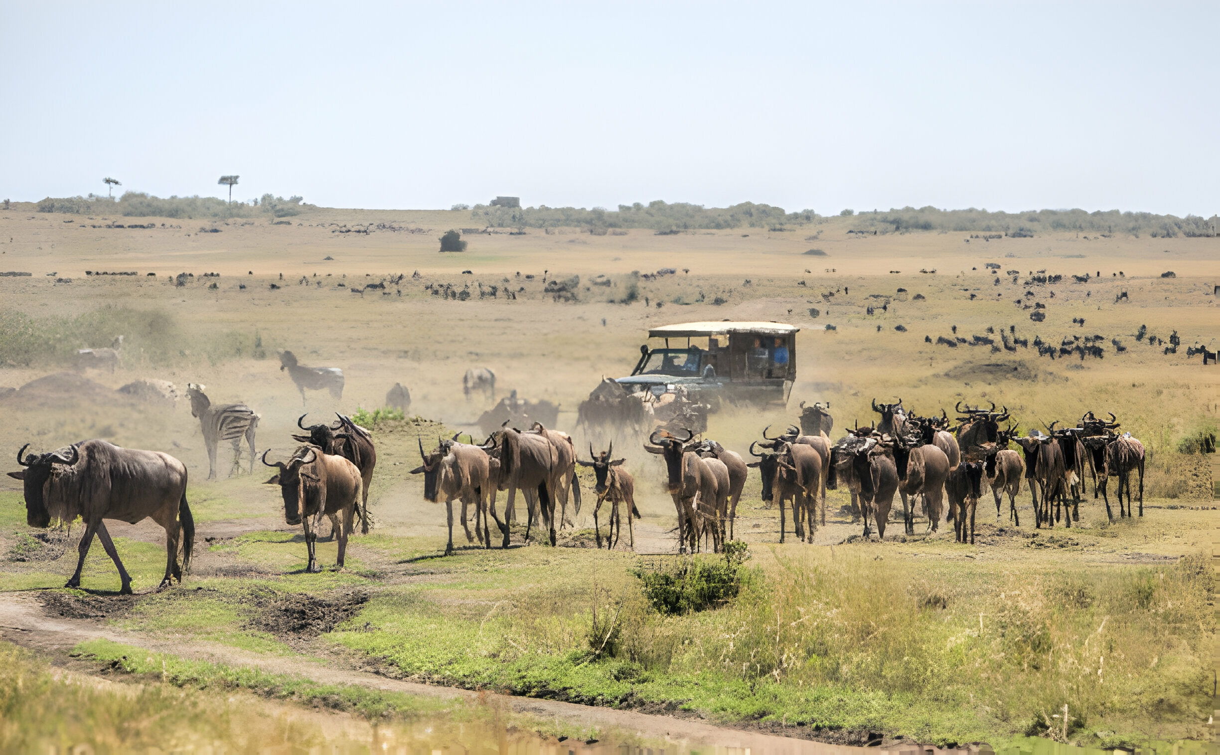 Amboseli National Park Safari 
