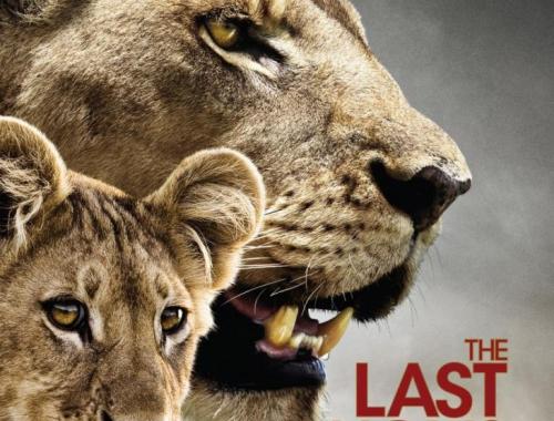 last lions