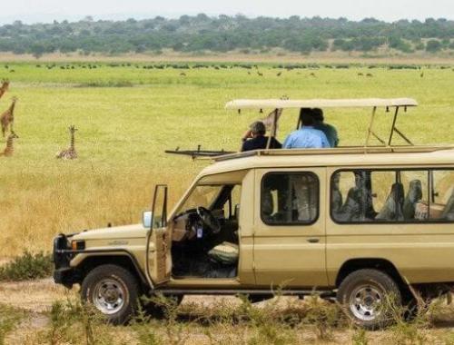 21-Travel-Destinations-to-visit-for-the-best-safari-in-Africa-continent