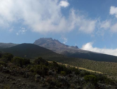 Mount Kilimanjaro view