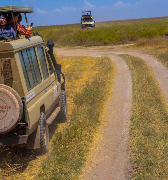 lioness in Serengeti alongside Zuriafrica Safaris jeep