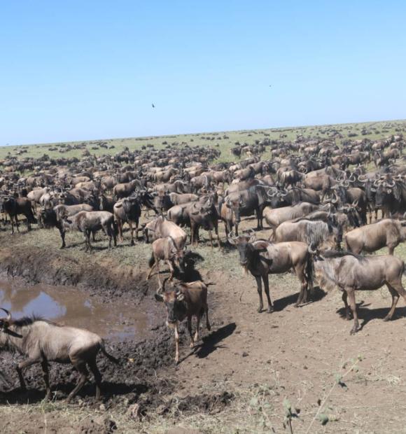 Serengeti National Park