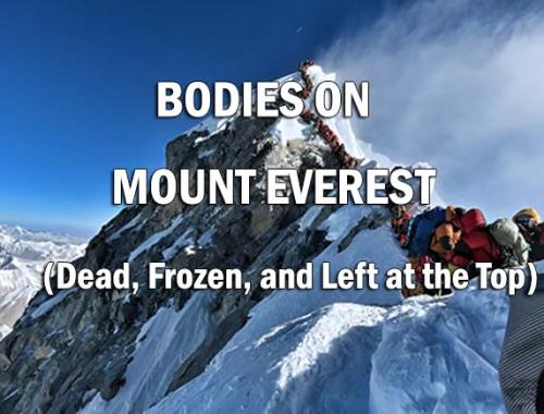 Dead, Frozen, and Left at the Top