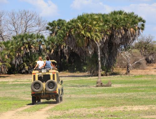 Tanzania Safari