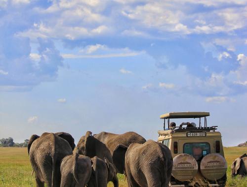 ALPINE CHAT ADVENTURE