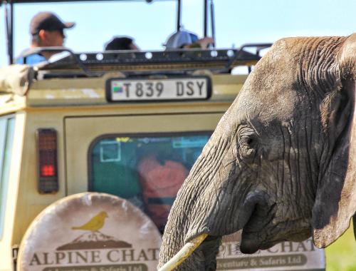 ALPINE CHAT ADVENTURE