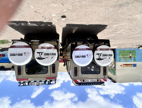 Bush and Forest Camps Bush and Forest Explorers Limited