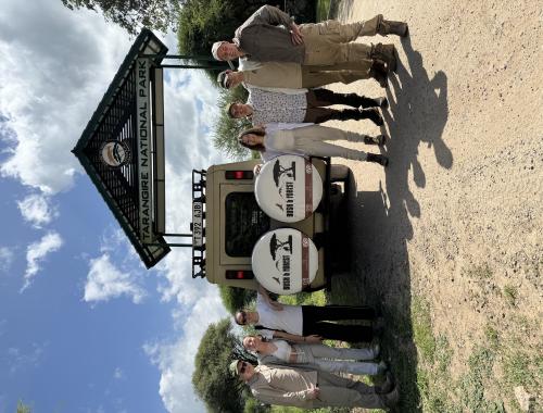 Bush and Forest Camps Bush and Forest Explorers Limited