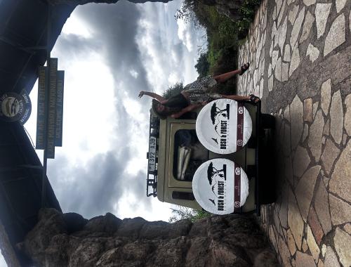 Bush and Forest Camps Bush and Forest Explorers Limited