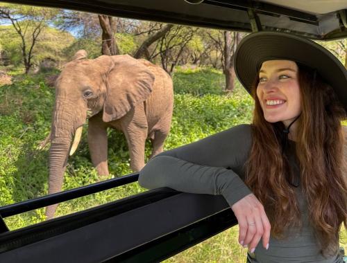 Bush and Forest Camps Bush and Forest Explorers Limited