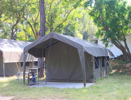 Bush and Forest Camps