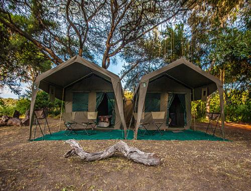 Bush and Forest Camps