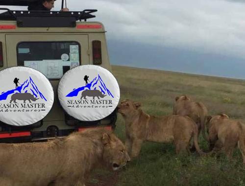 In the wild zero distance to linons