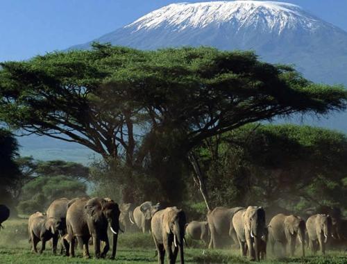 Amboseli