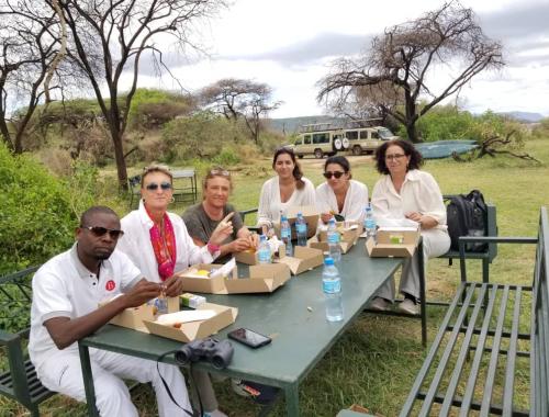 Picnic lunch in the wild