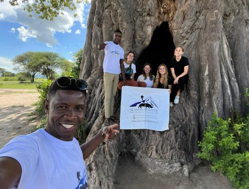 Baobab tree in Tarangire National Park