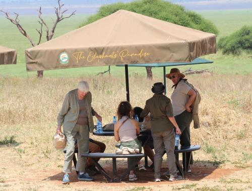 Picnic lunch in Serengeti Game Park