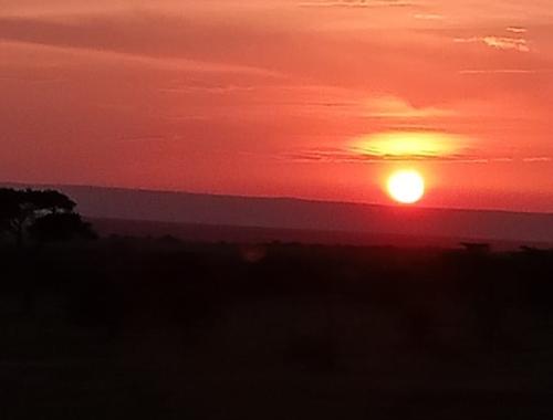 A beautiful sunset in Lake Naivasha