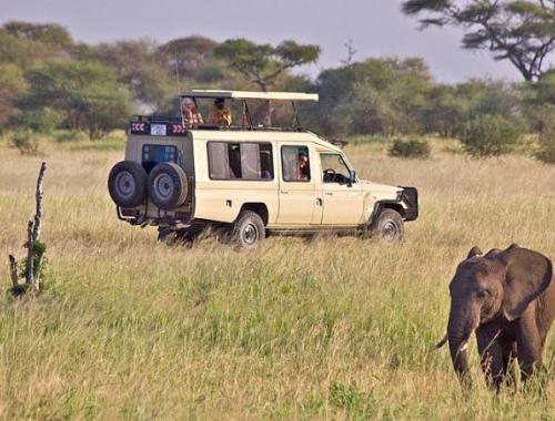 Game drive in Tarangire National Park