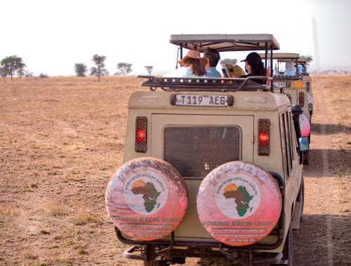 Widerange African Safaris |Tanzania safaris | Kilimanjaro Hiking