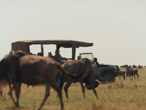 tanzania safari