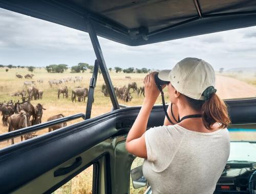 Nasikia safaris's clients on game drive