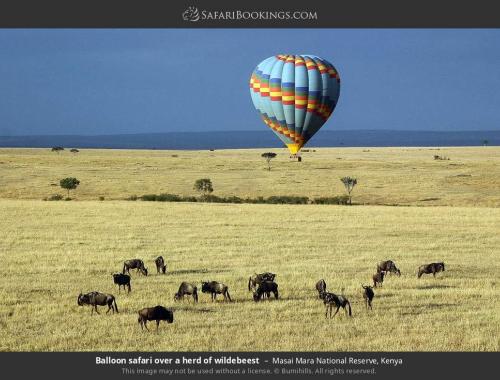 Balloon Safari over Masai Mara 