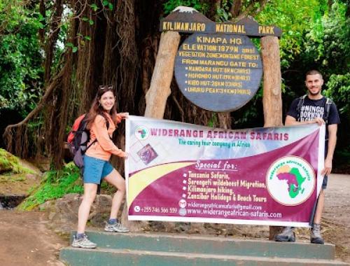 Kilimanjaro Day Hike  ( day trip) | Join group 2025