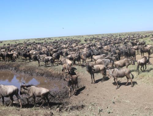 Serengeti National Park