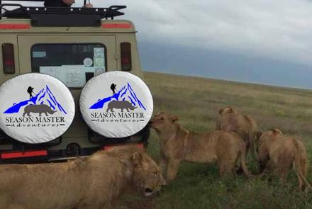 In the wild zero distance to linons 